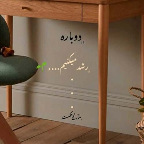 اشکان پناهی گل بیو مرهم بده