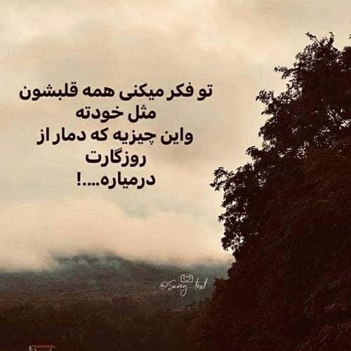 محسن شربتی انجیر دله کاله