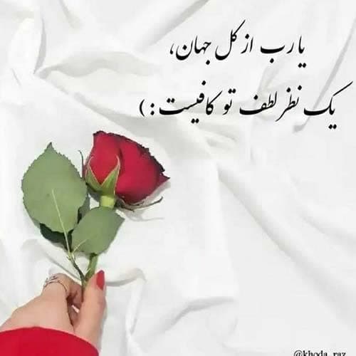 محسن شربتی هل هله شمالی