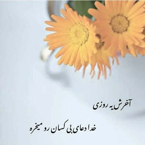 محسن شربتی جان دلخواه