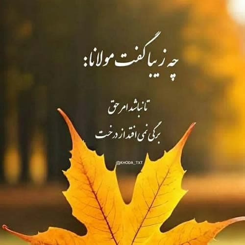 محسن شربتی مسلمانان دلم غم دارد