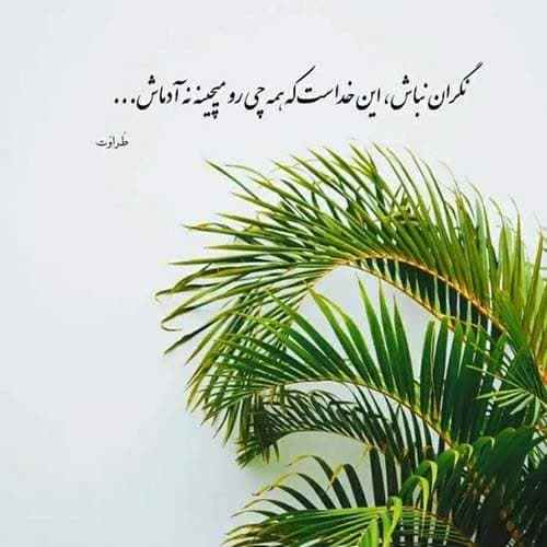 ایرج بسطامی تصنیف گل و نسرین
