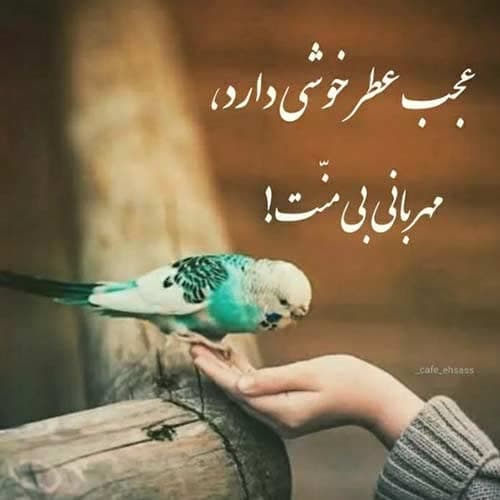 مهرداد پازواری بانو جان