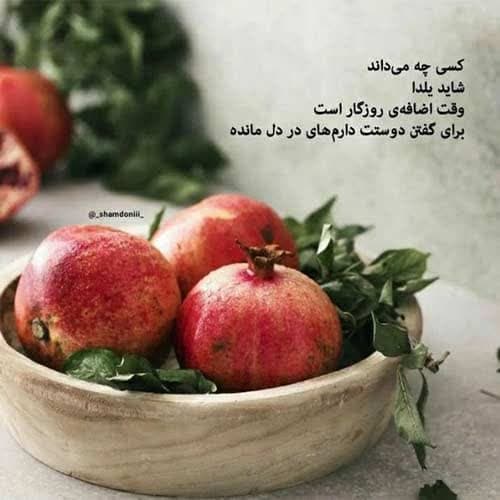 مهرداد پازواری دلبرا