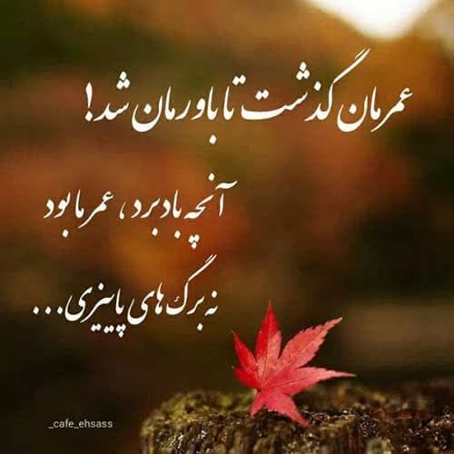 مهرداد پازواری قدم قدم