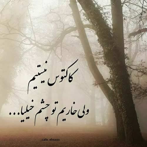 مهرداد پازواری قاسم آبادی