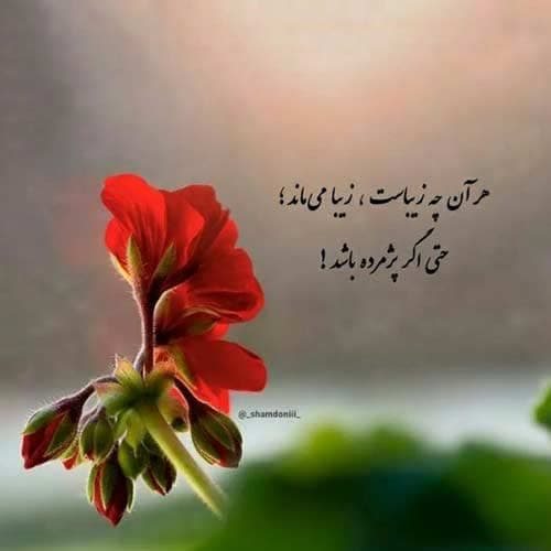 آهگ ابوالحسن خوشرو آواز صنم