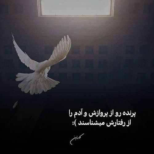 گت آقا حسینی بی وفایی