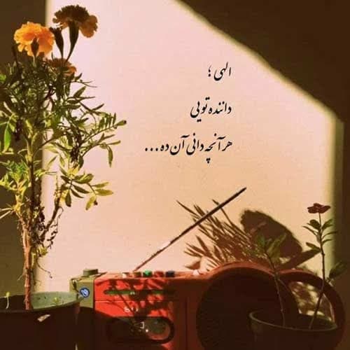 گت آقا حسینی خشک هایته کیله