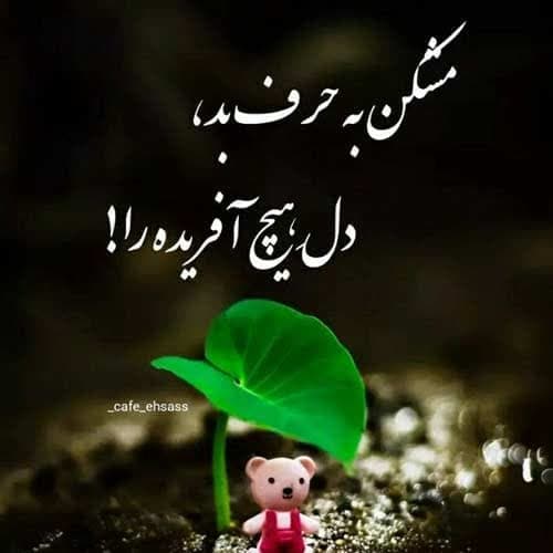 گت آقا حسینی دو زن داری