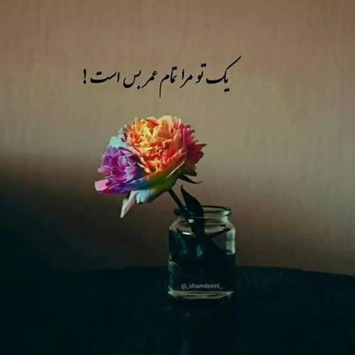 سیتا قاسمی دل تنگم کی مگیره
