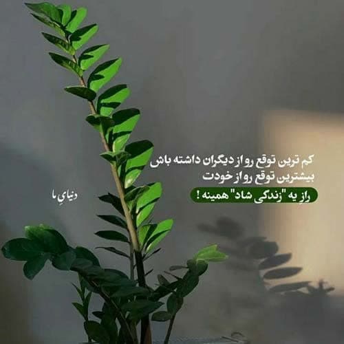 سیتا قاسمی غزل میخوانم