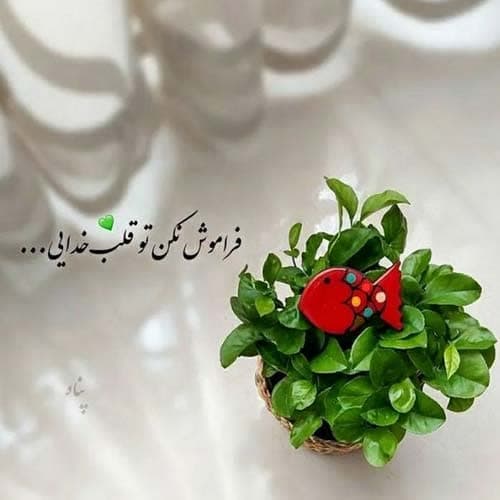 سیتا قاسمی هزاره گی
