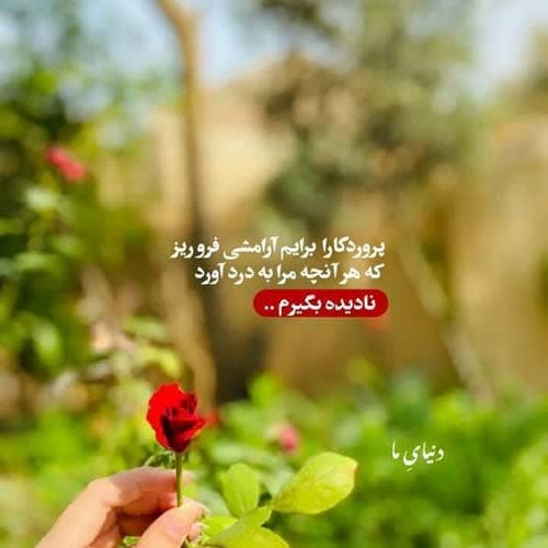 سیتا قاسمی سرت عاشق شدم