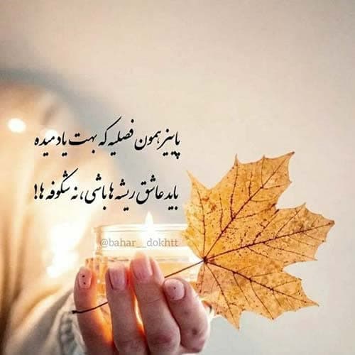 احمد نیکزاد فراق یار
