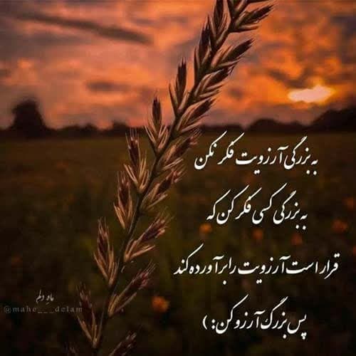 احمد نیکزاد فیروز 2