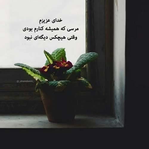احمد نیکزاد های های