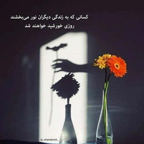 امیر خلوت سامورایی