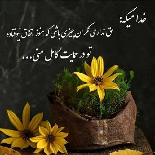 رضا جنتی بیدلی