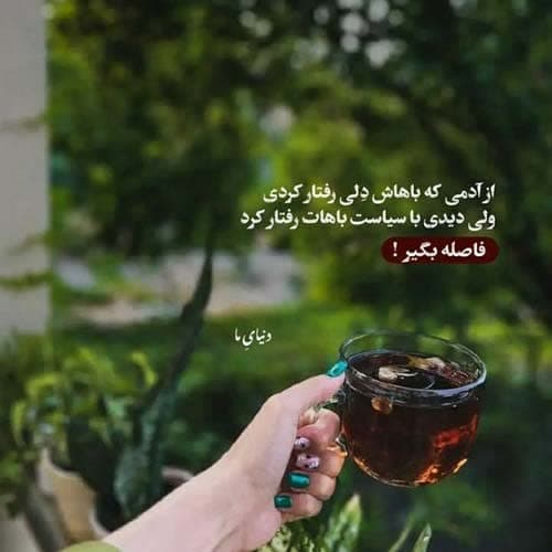 رضا جنتی گلنار جان