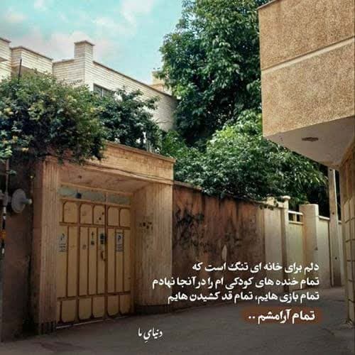 رضا جنتی لووو
