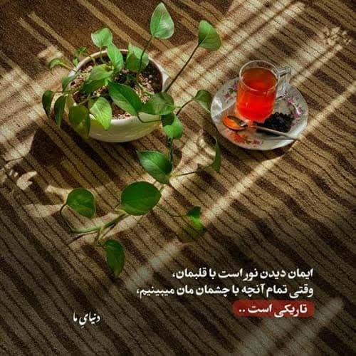 رضا جنتی مرجان