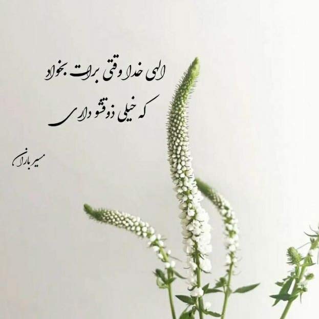 دانلود آهنگ غرق تو تباهی معلق بی فردا