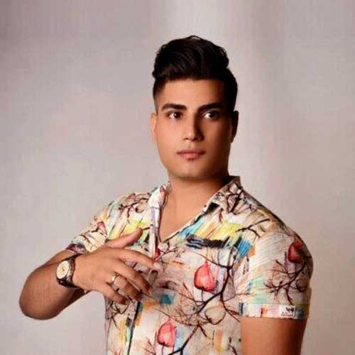 آهنگ های امین فالجی