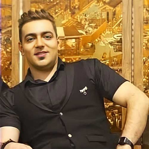 آهنگ های ساسان ملکی
