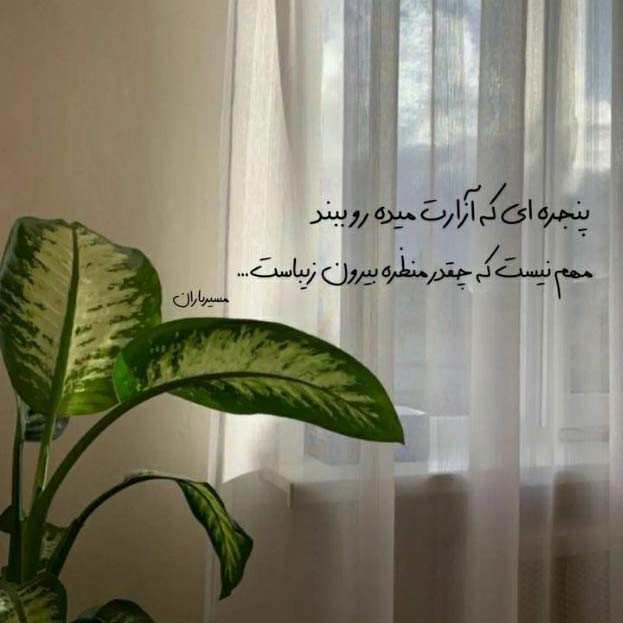آهنگ دیوونم نکن برگرد بری میگیره رگای قلبم هوش مصنوعی MP3