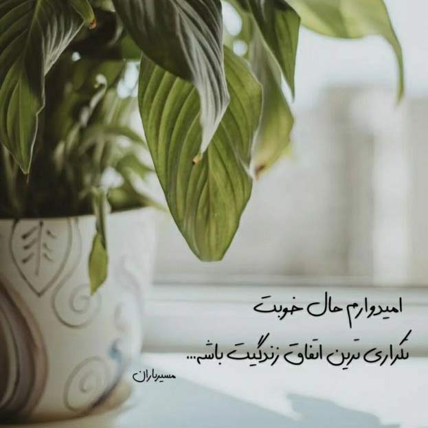 اهنگ میدونی من یه برگم رو به مرگم مسلم فتاحی اینستا