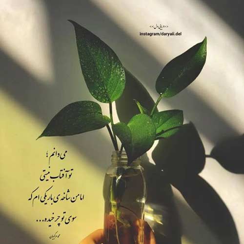 دانلود آهنگ سکوت شویلم از سجاد فرزامی و محمد امین کرمزاد