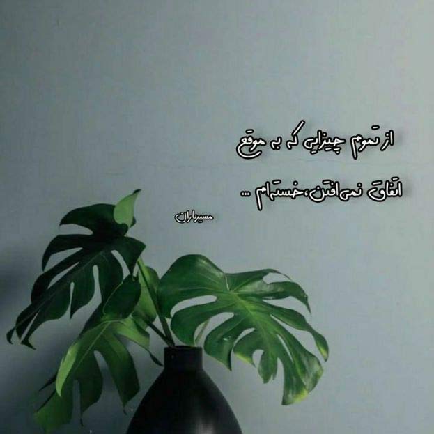 دانلود اهنگ تو آسمون زندگیم ستاره بوده بی شمار از ابی