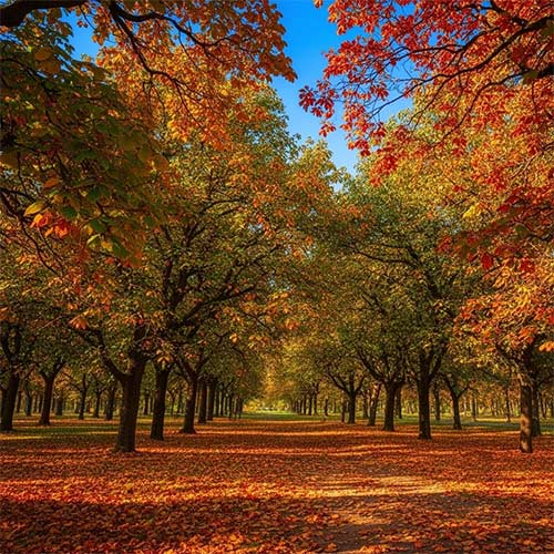 دانلود اهنگ گل ناز نازنینم اگه یک روزت نبینم با صدای زن
