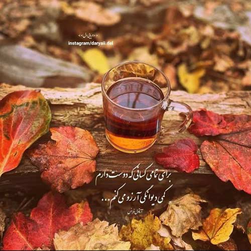 اهنگ از غمت ای نازنین عزم سفر میکنم با صدای احمد ظاهر