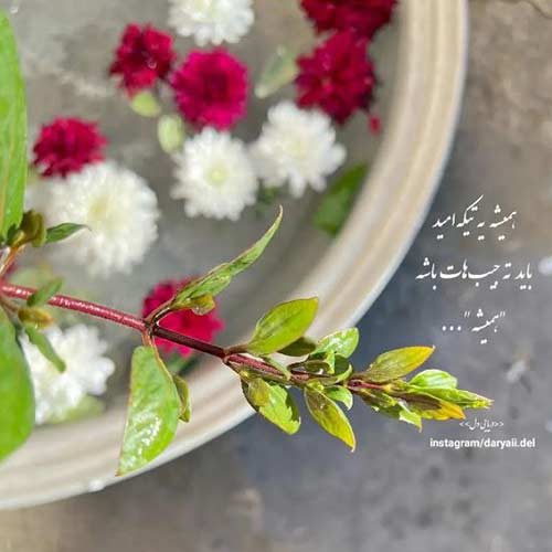 دانلود ریمیکس نمیام بیرون هر شب از فکرت MP3