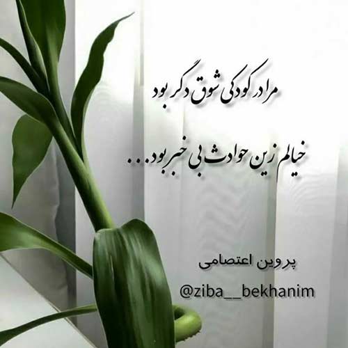 دانلود آهنگ امیر تتلو به نام تناسخ MP3