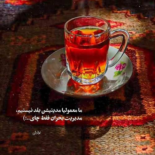دانلود اهنگ روسی MP3 дикая львица