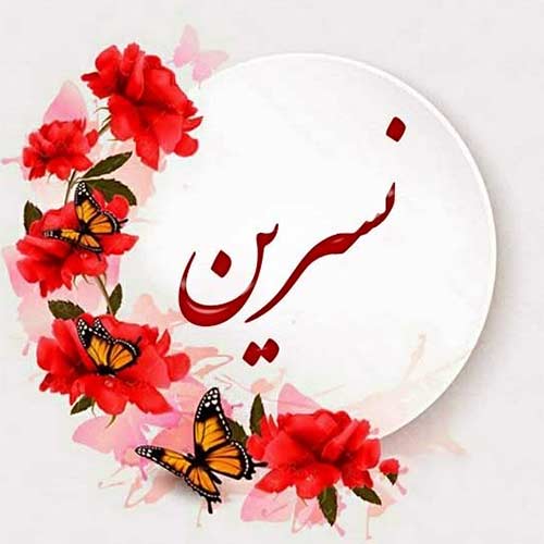 پلی لیست آهنگ های نسرین