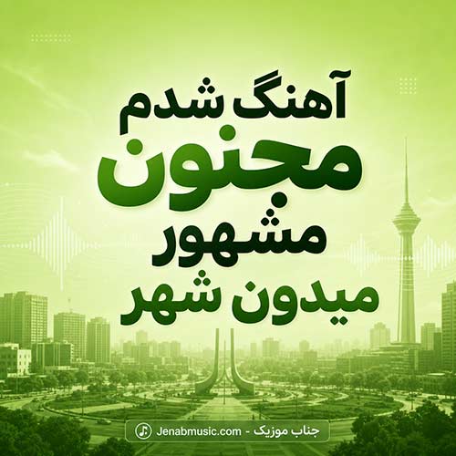 دانلود آهنگ شدم مجنون مشهور میدون شهر با صدای زن اینستا MP3