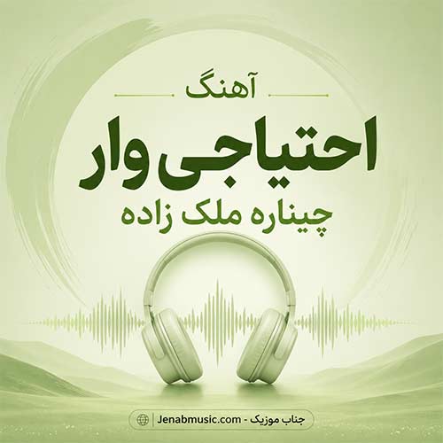 دانلود آهنگ احتیاجی وار چیناره ملک زاده ریمیکس اینستا MP3